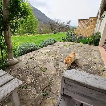 Hébergement de vacances Bright Loft With Mountain And Nature View Sougraigne