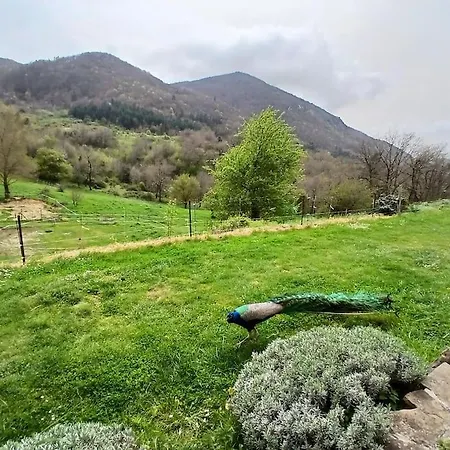 Hébergement de vacances Bright Loft With Mountain And Nature View Sougraigne