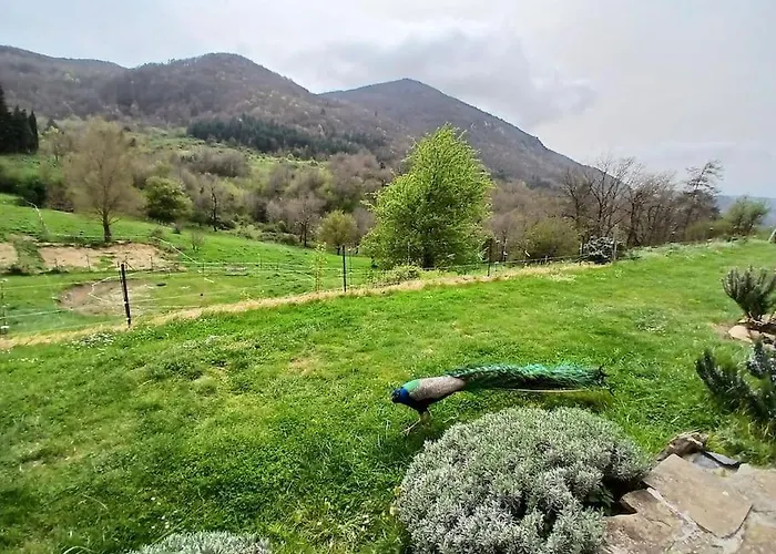 Σπίτι διακοπών Bright Loft With Mountain And Nature View Sougraigne